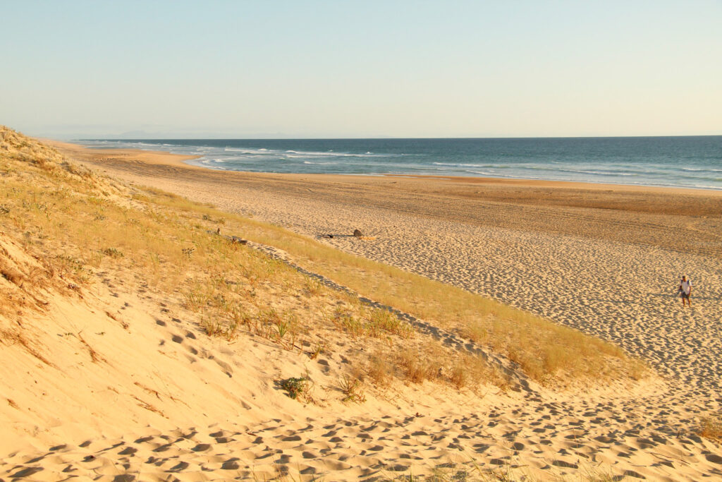 Strand Cap de L'Homy